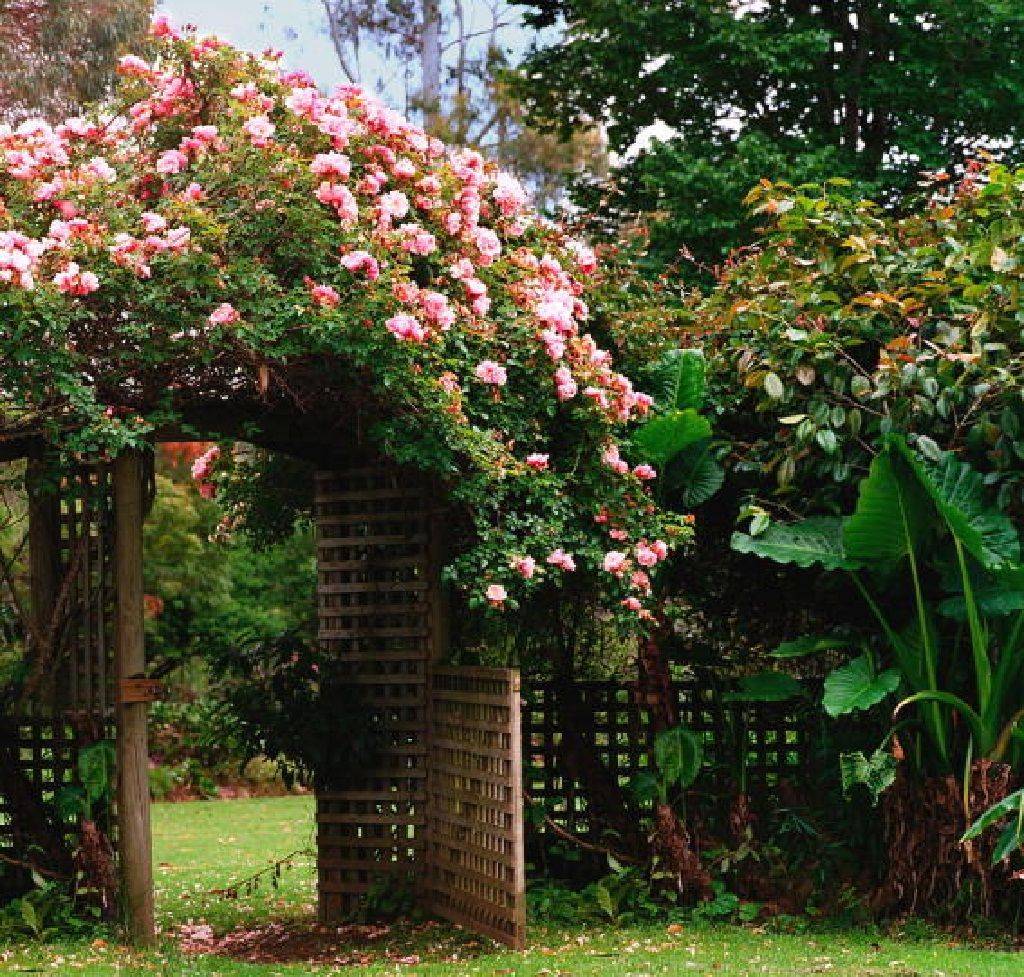 Arched Garden Entry Landscape Projects
