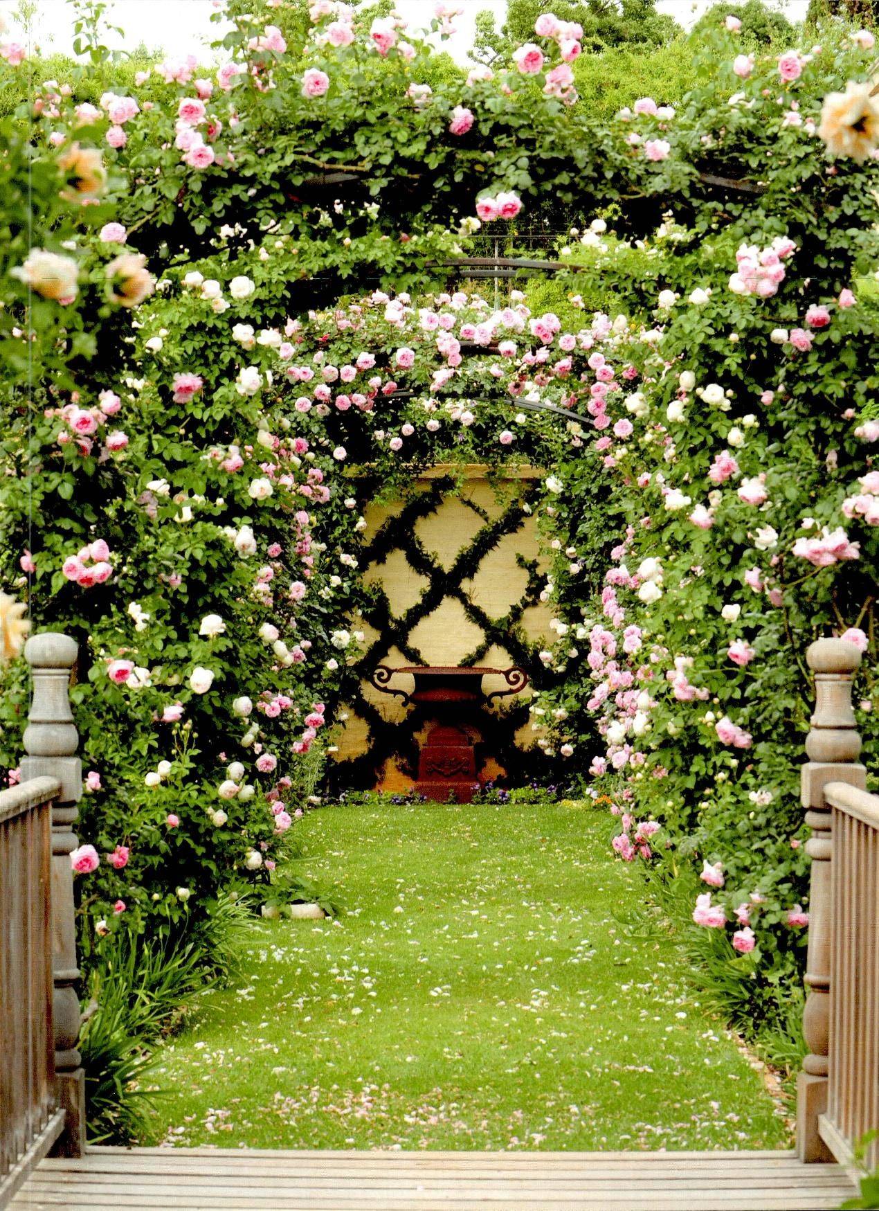 20 Flower Garden Archways Ideas To Try This Year SharonSable