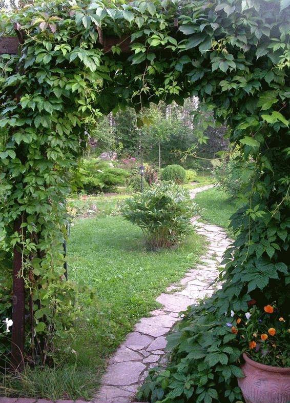 Your Beautiful Garden