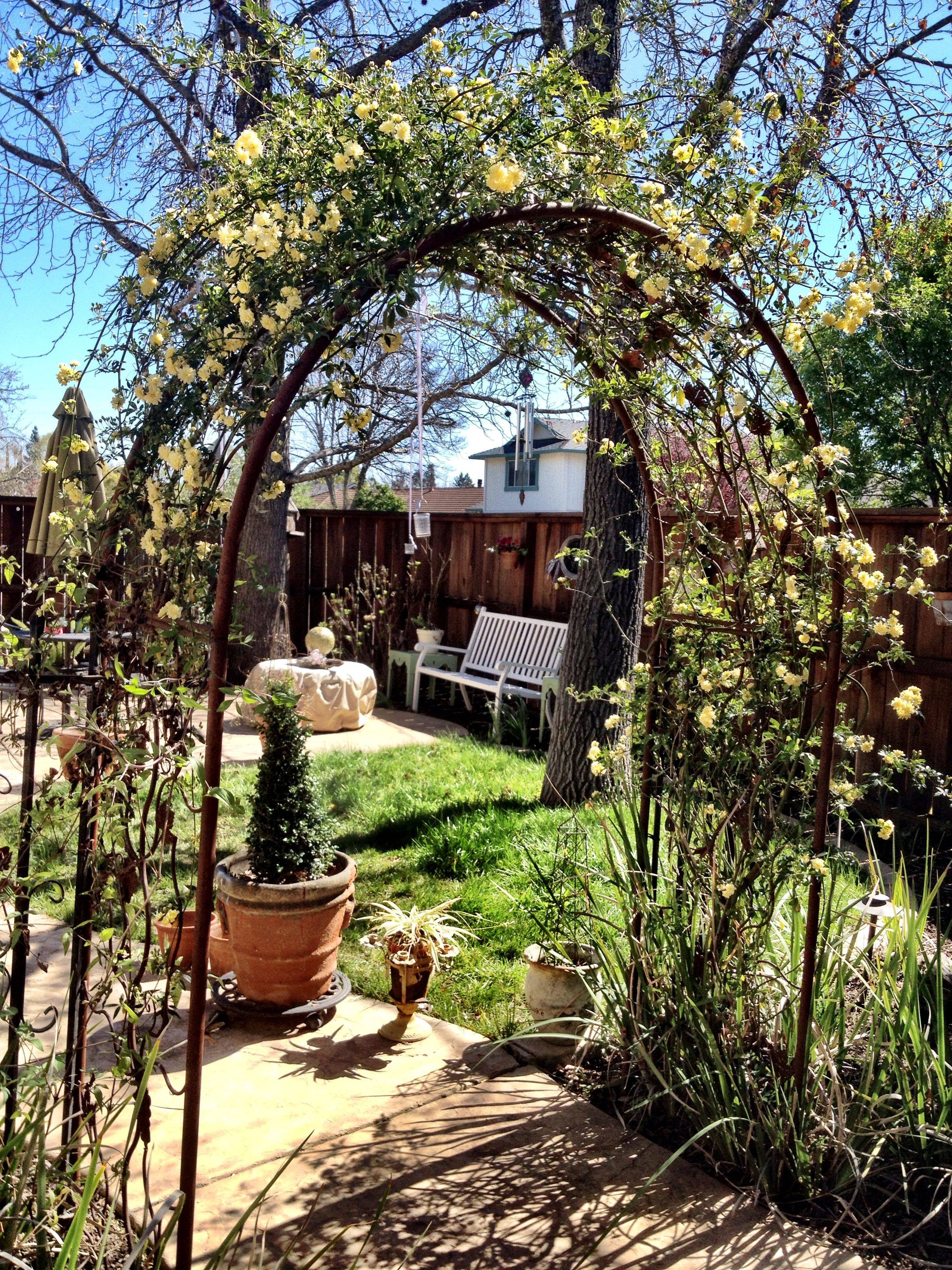 Back Yard Beautiful Gardens