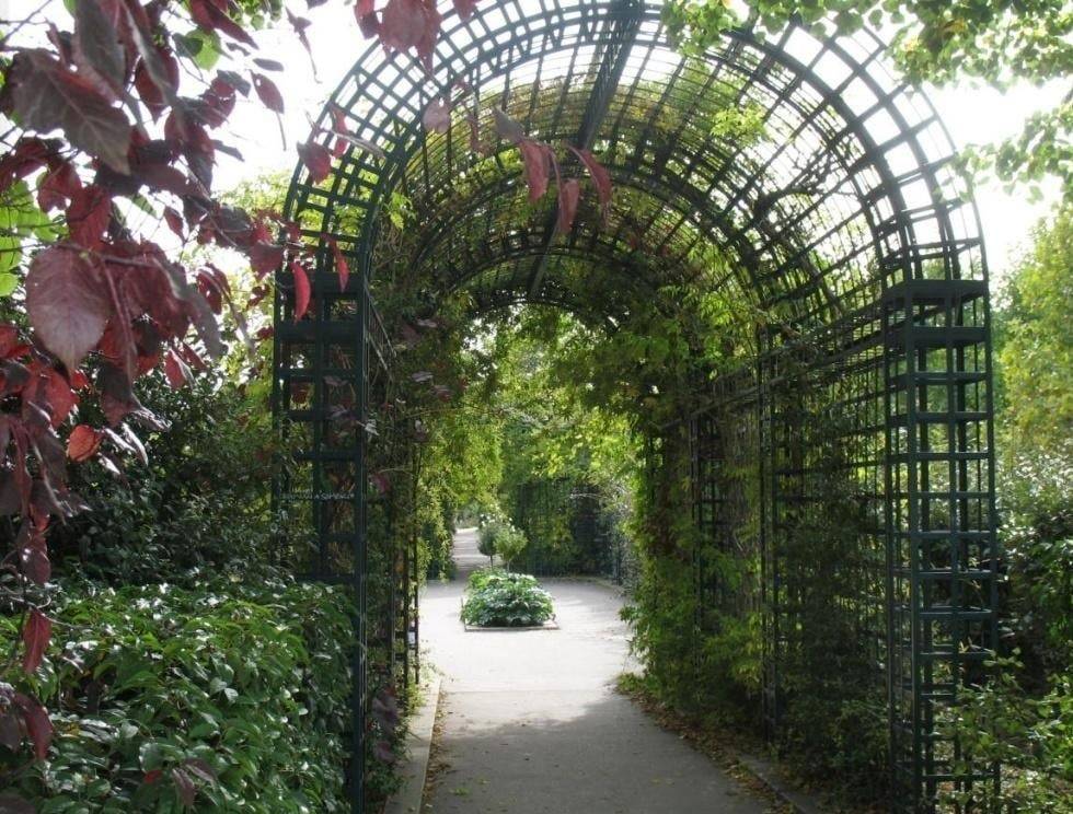 Beautiful And Functional Garden Arches Best Landscaping Ideas