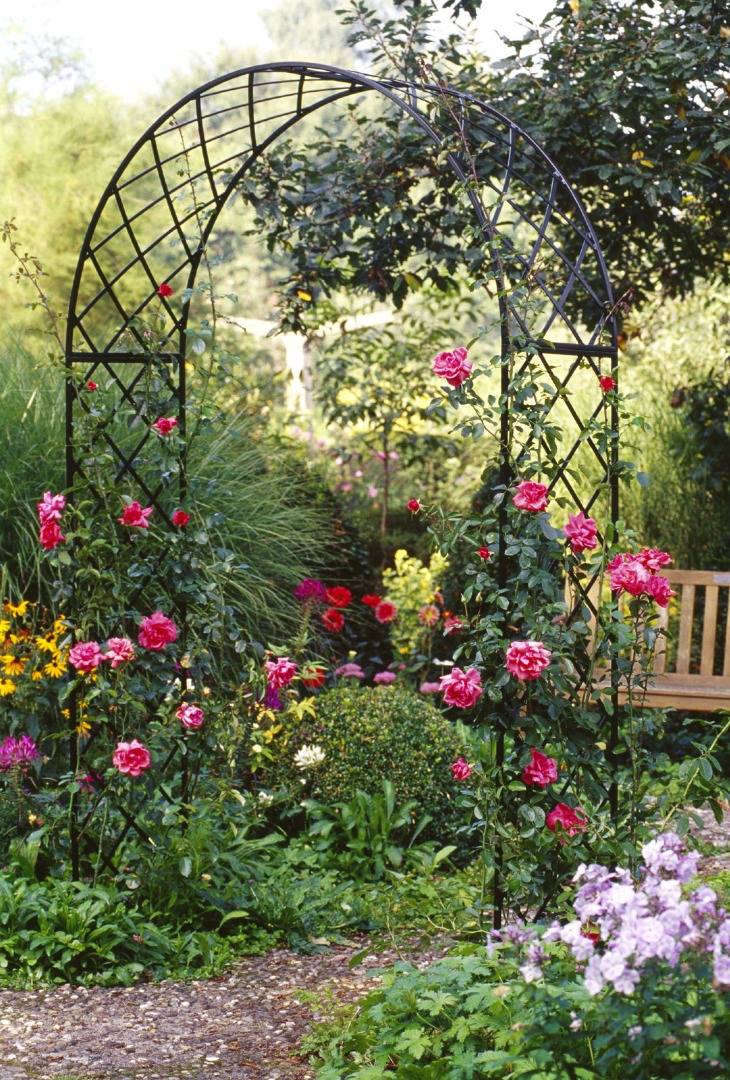 Garden Trellis Ideas