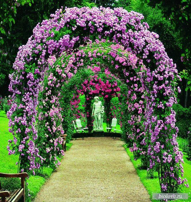 Rustic And Simple Arbor Ideas