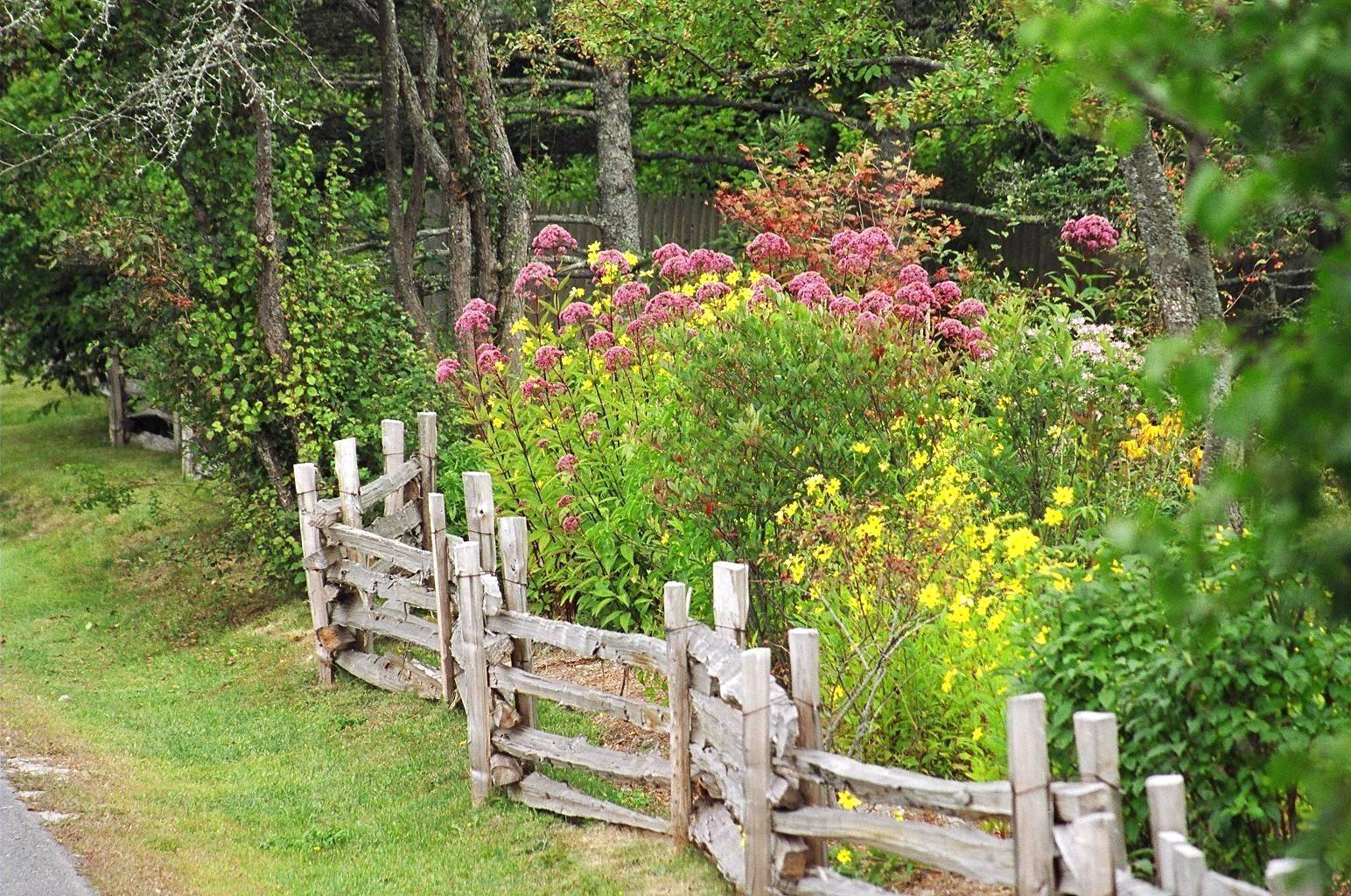 Split Rail Fence Ideas