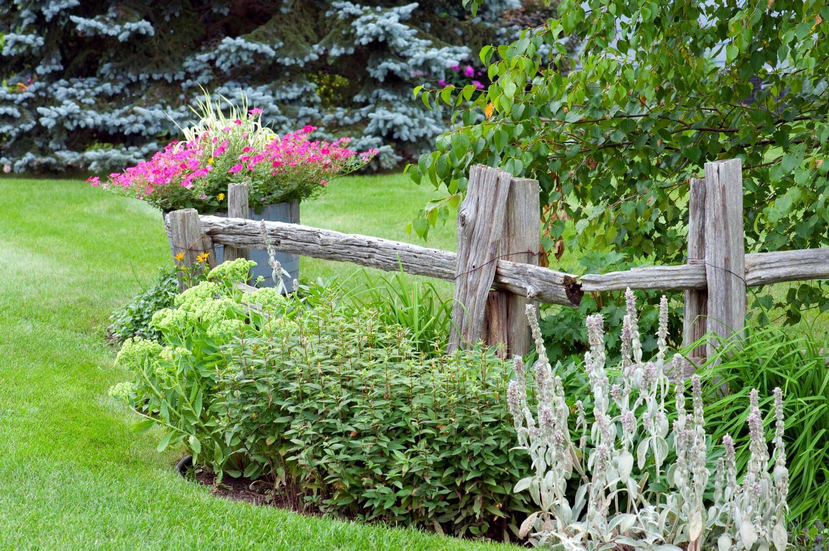 Diy Garden Fence Ideas