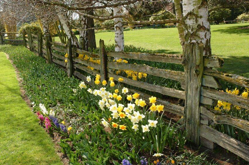 Rustic Garden Decor