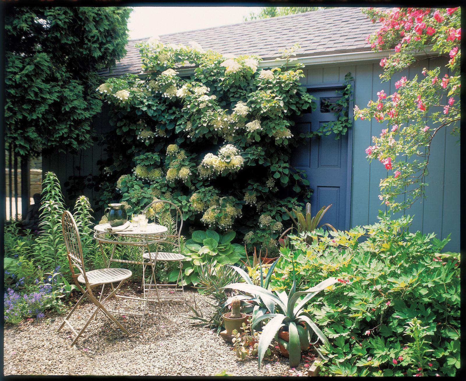 Farmhouse Landscaping Front Yard