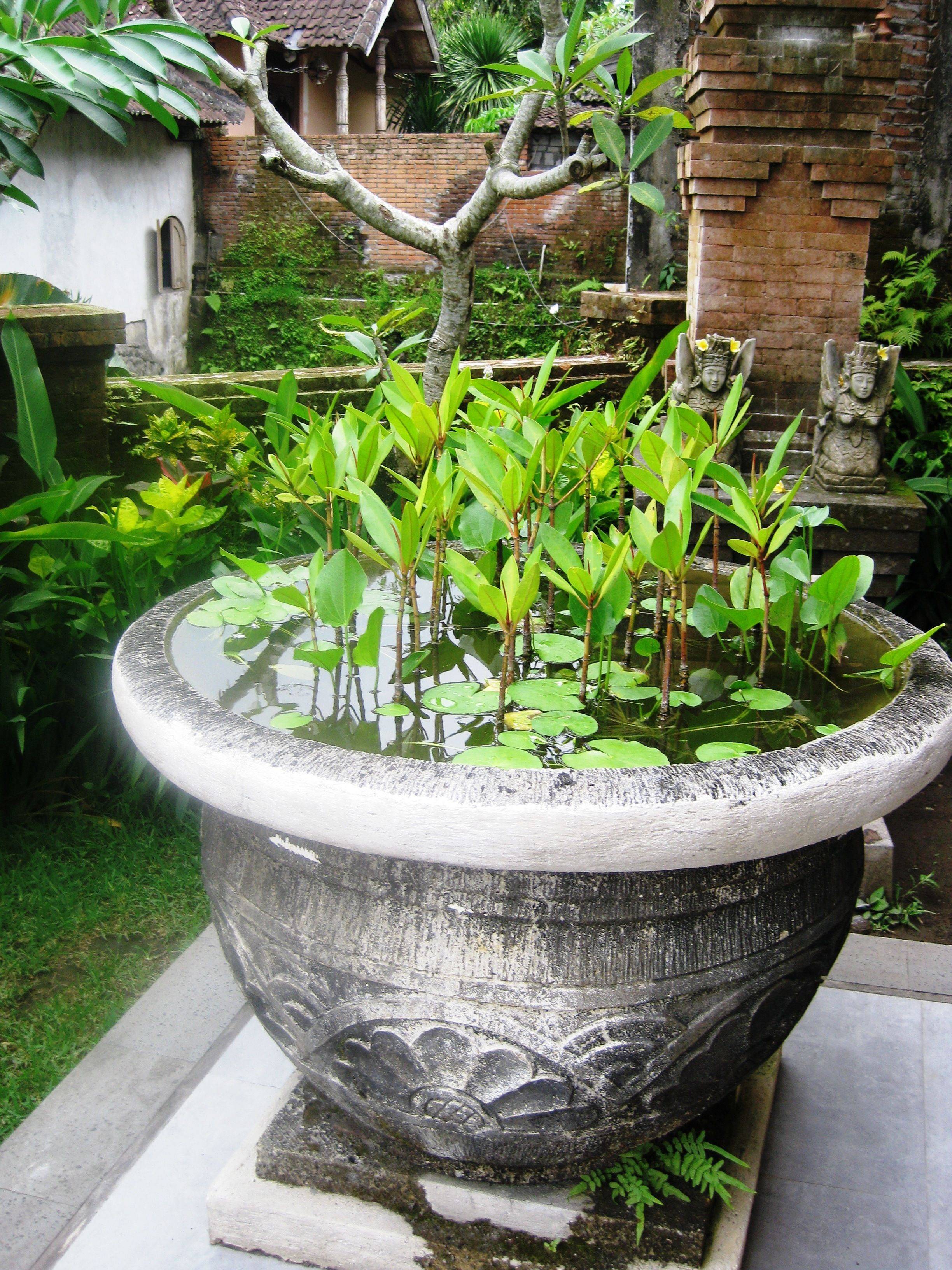 Bali Style Home
