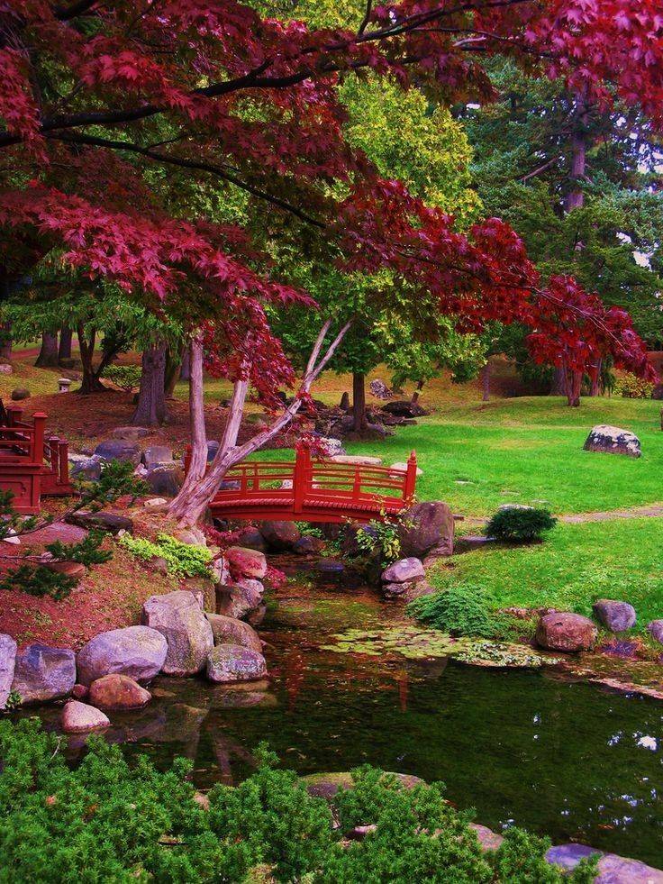 A Beautifully Zen Outdoor Space Diy Garden