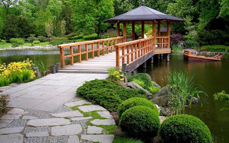 A Japanese Themed Garden