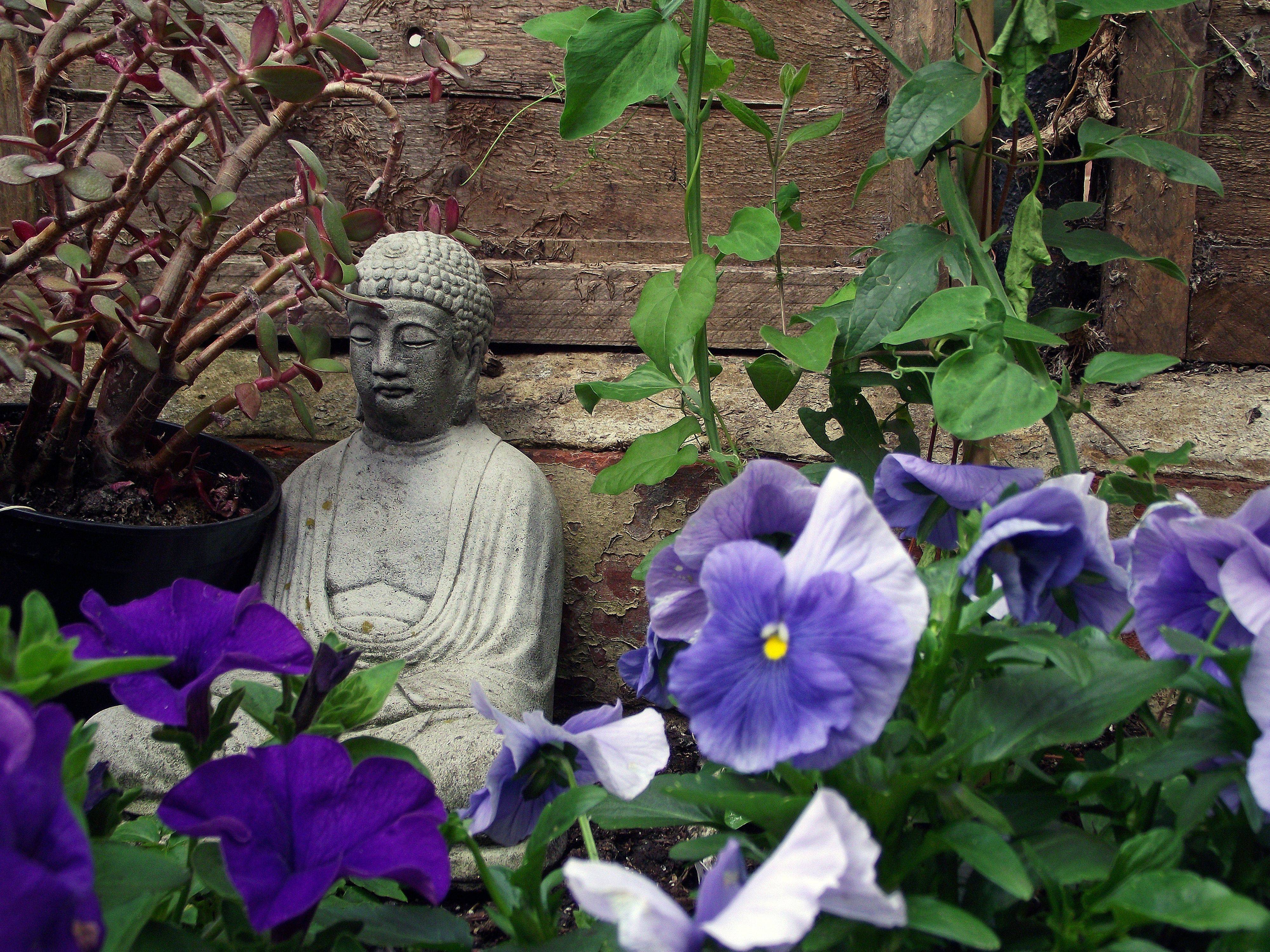 Awesome Buddha Garden Design Ideas