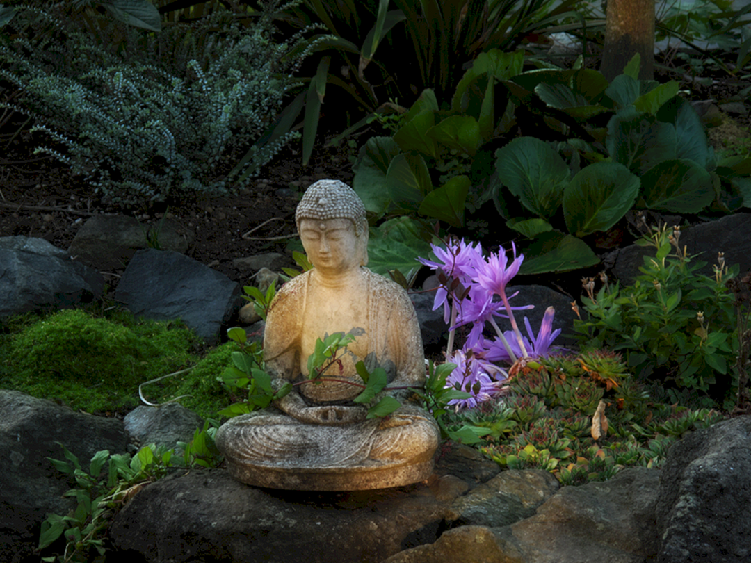 Beedies Buddha Garden Buddha Garden