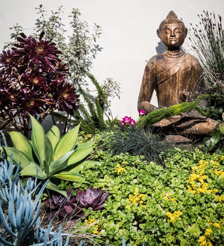 Buddha Meditation Garden Meditation Garden