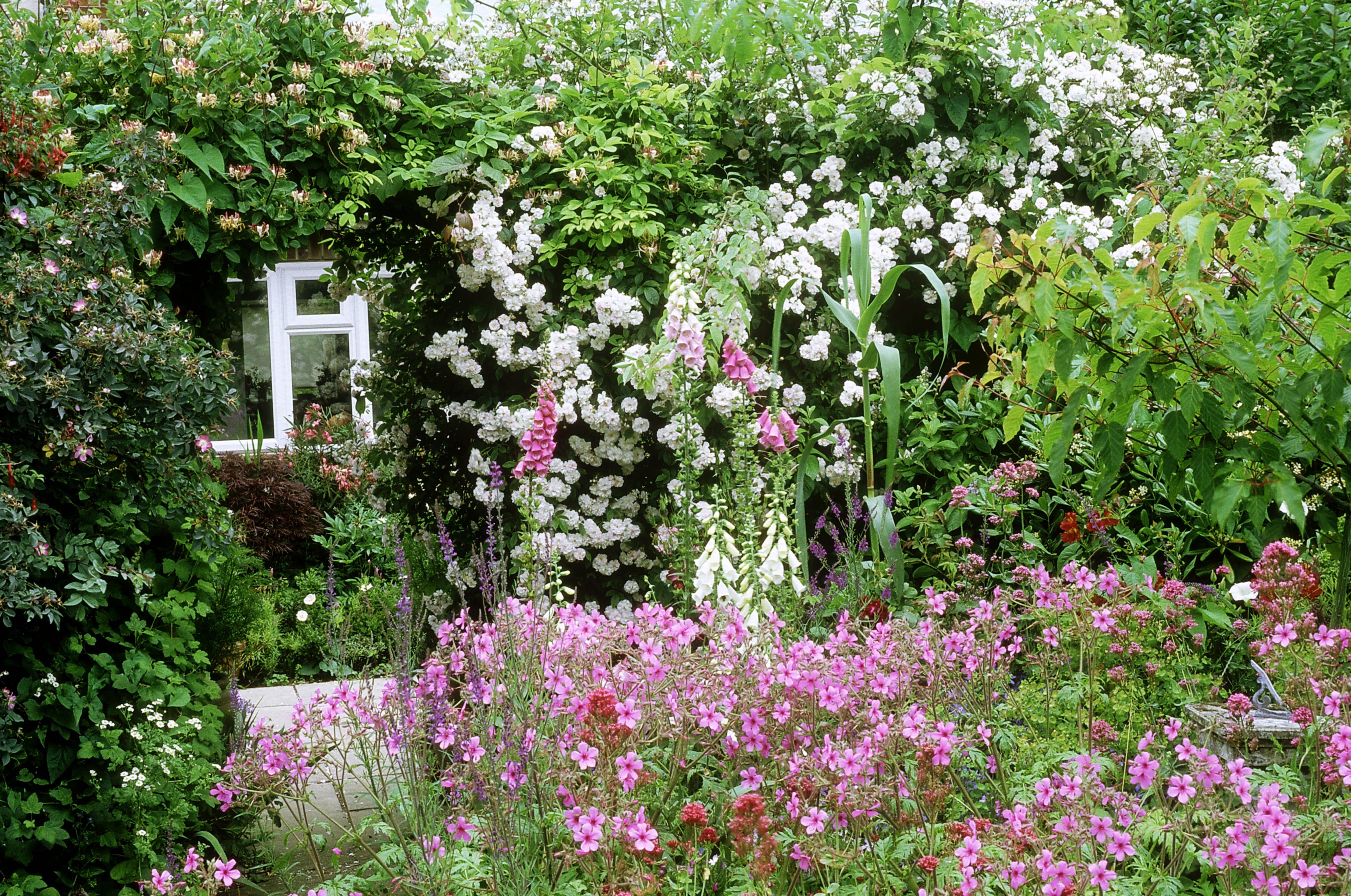 Stunning Country Cottage Gardens Ideas