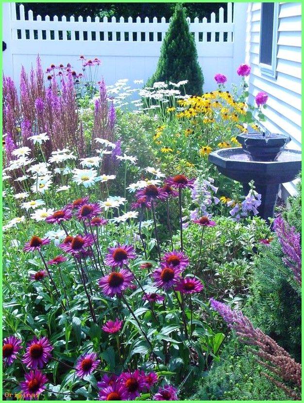 Pin On Flowers And Plants