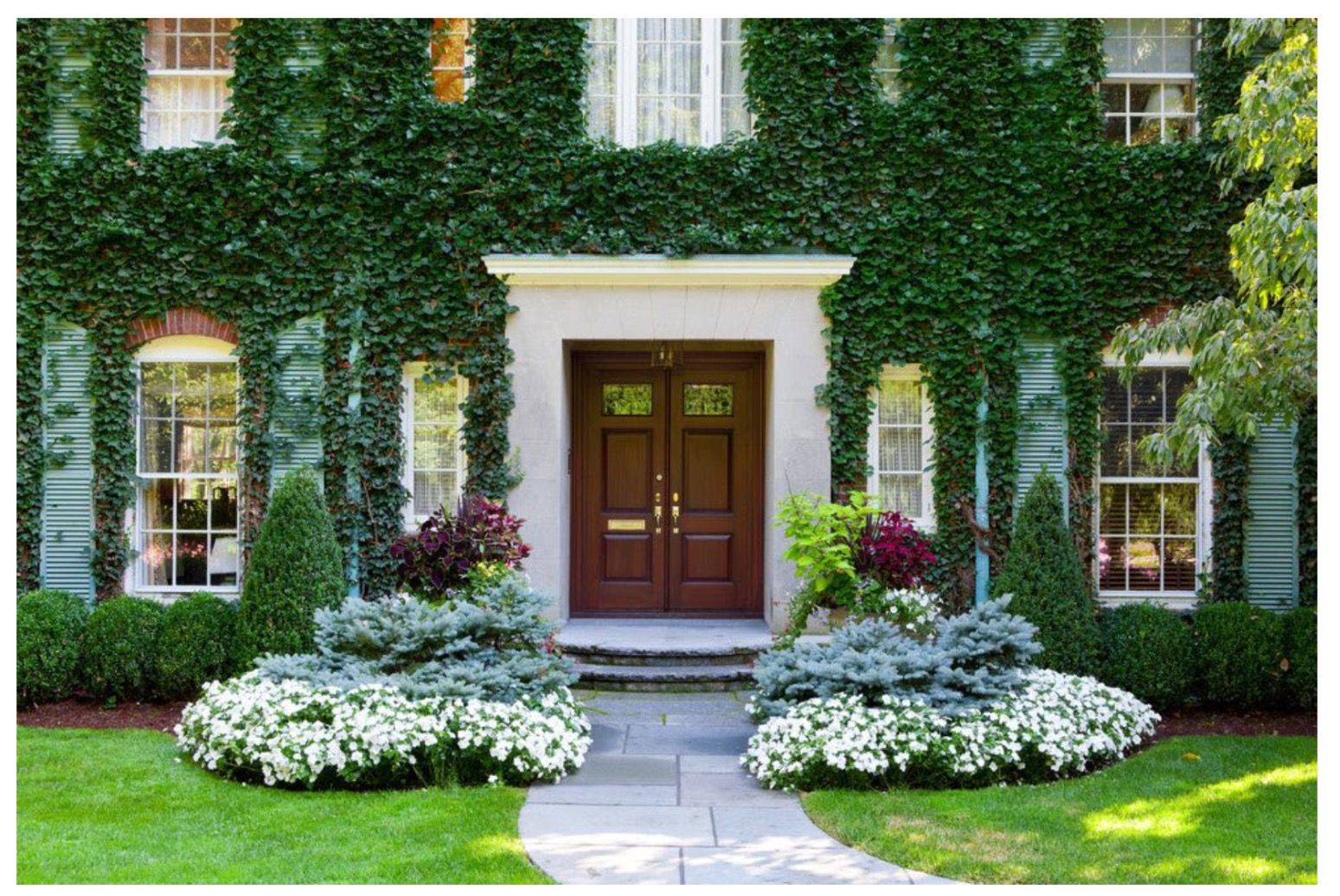 An English Cottage Garden