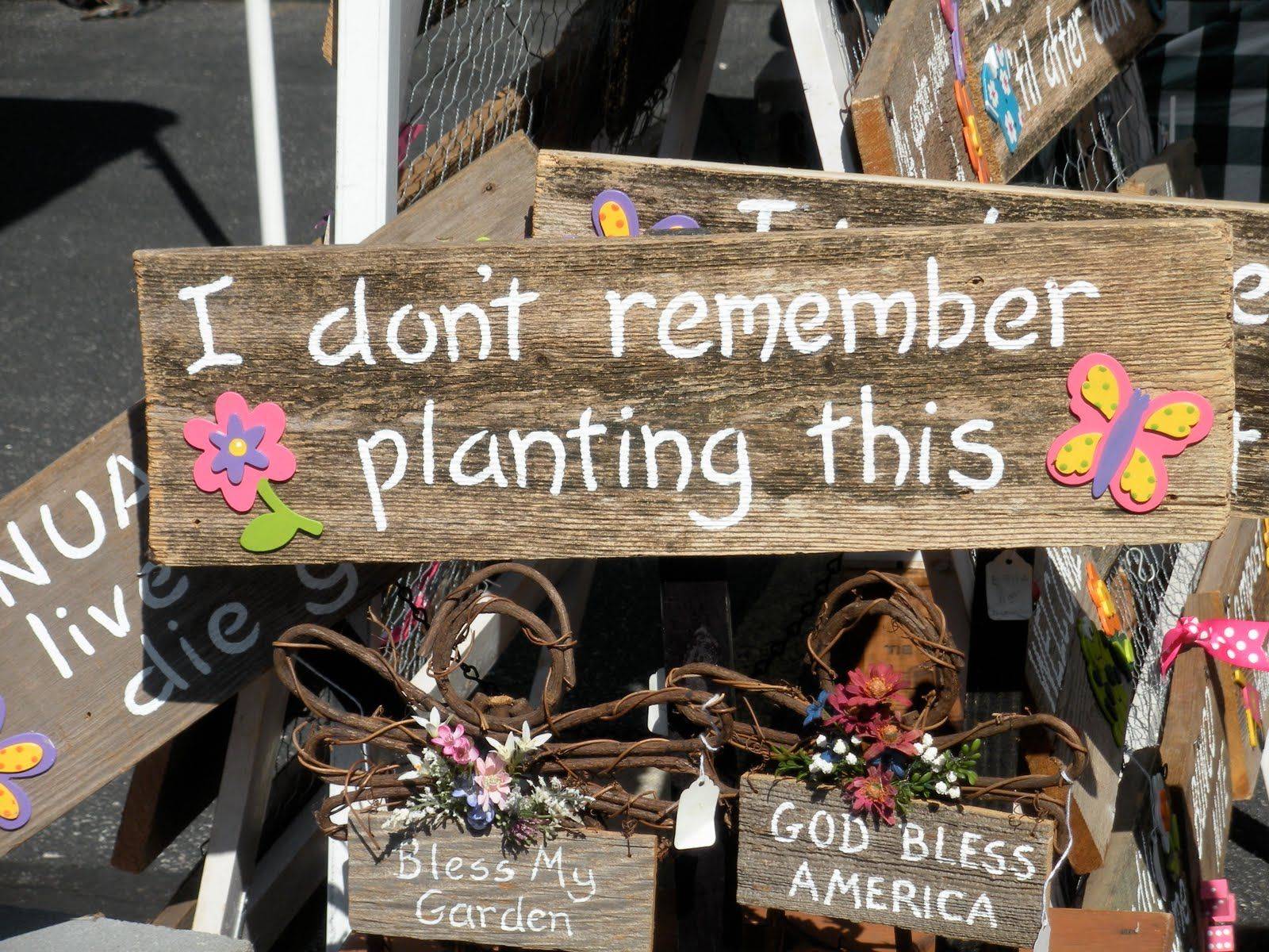 Your Yard More Inviting Decor Dy