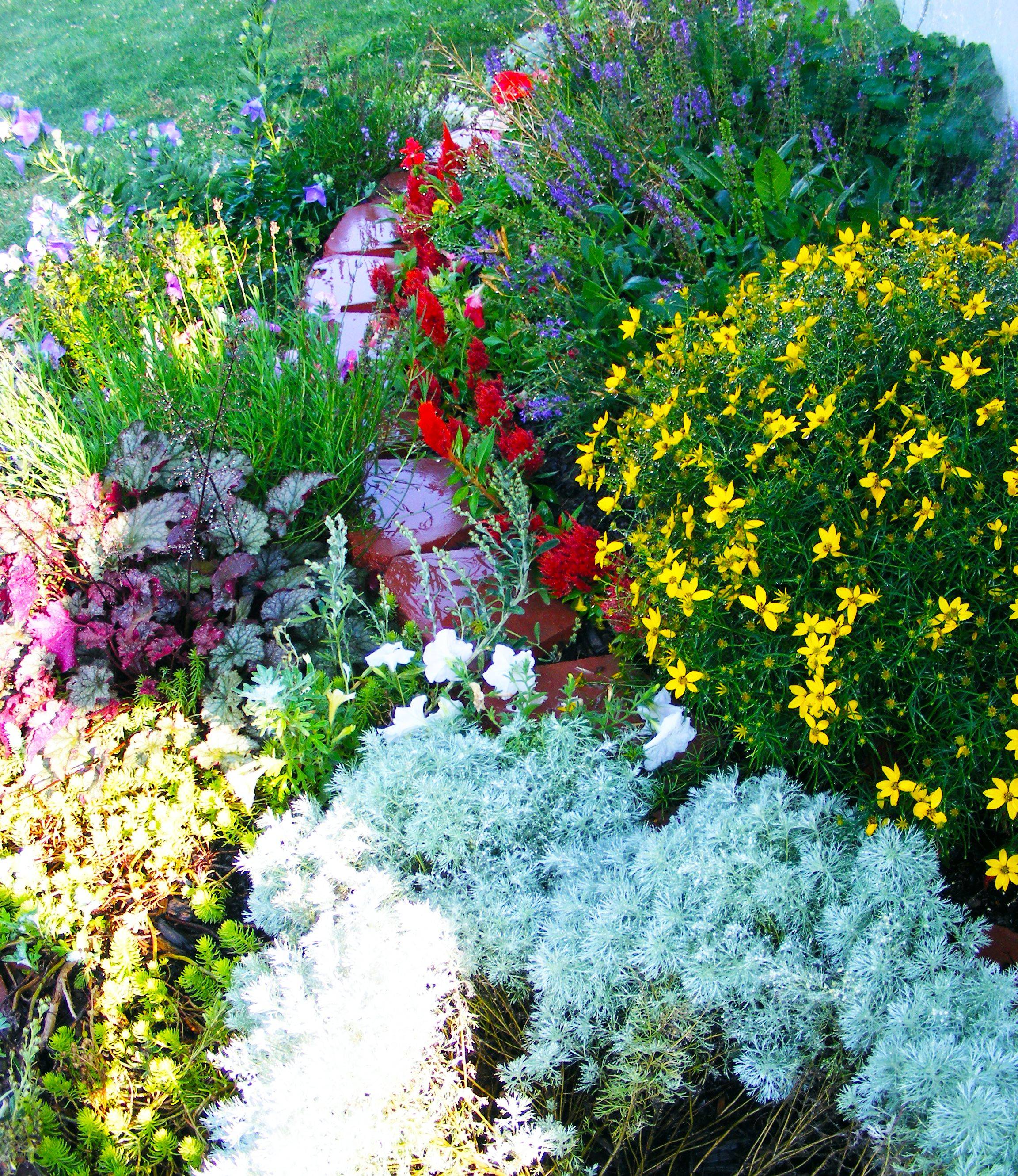 Best Flower Bed Ideas