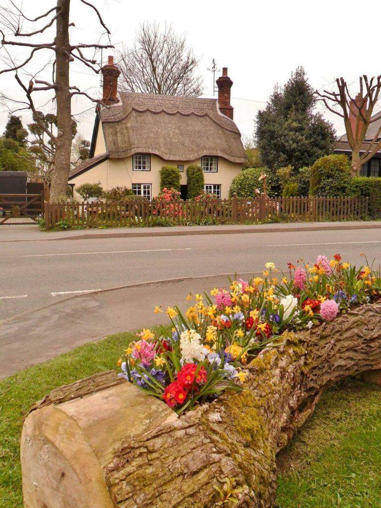 Amazing Flowers Pots