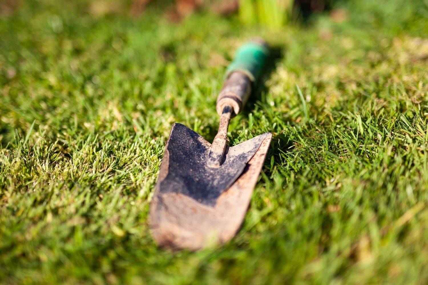 Winter Garden Tool Storage