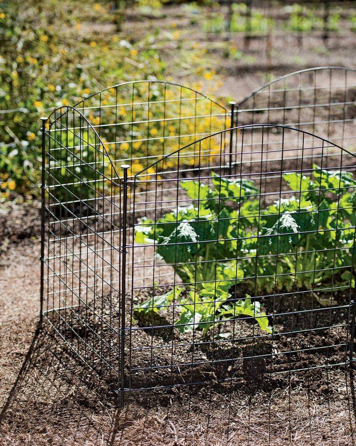 Friendly Garden Decor Critters