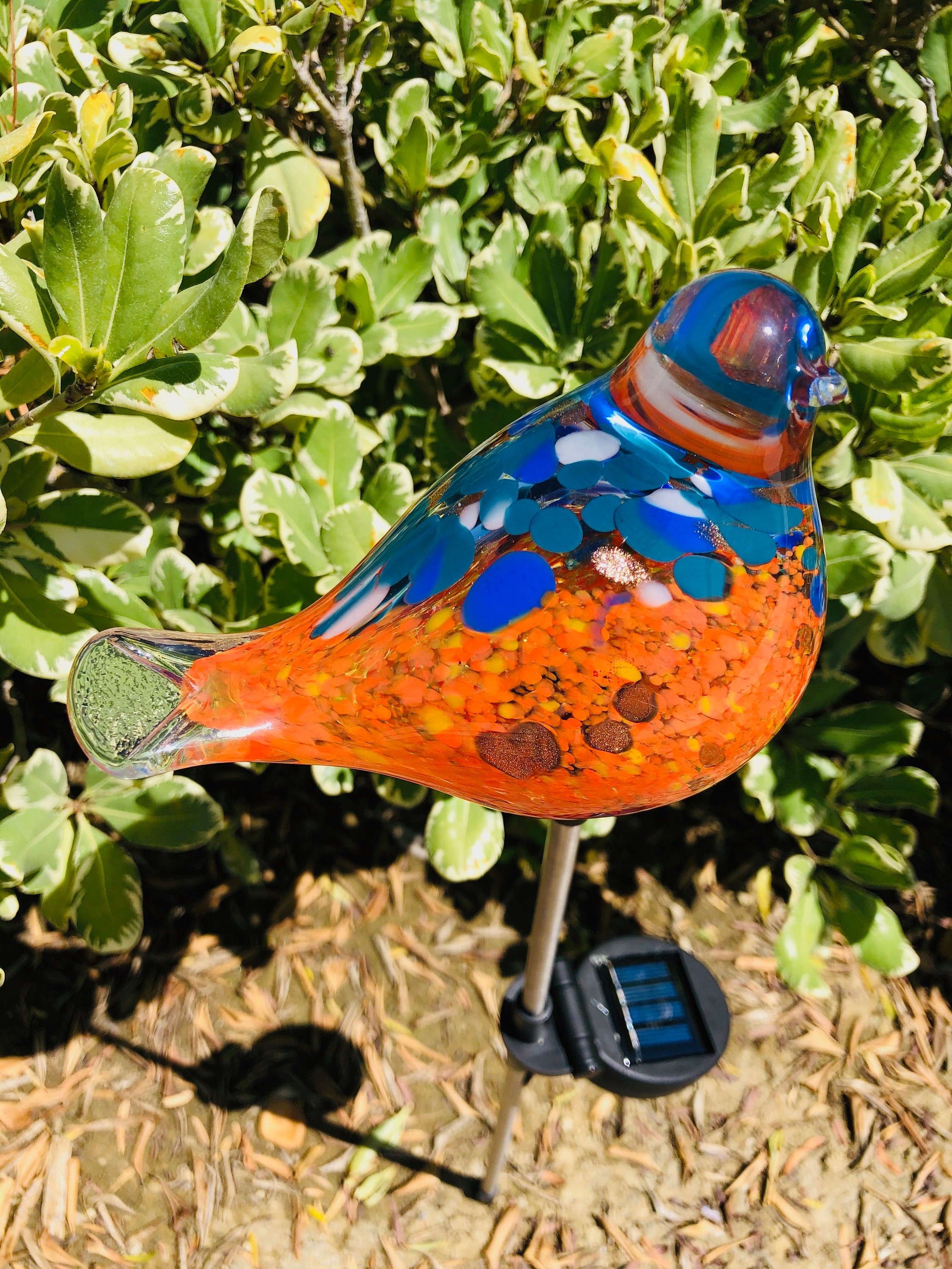 Solar Path Garden Lights Bird Sun