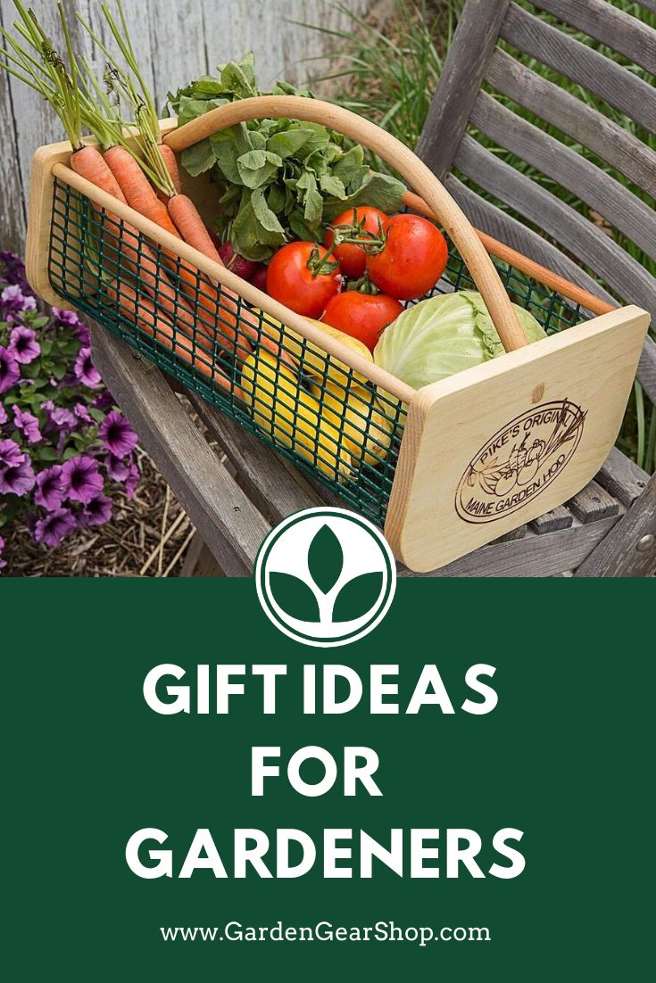 The Ultimate Houseplant Lover Gift Guide