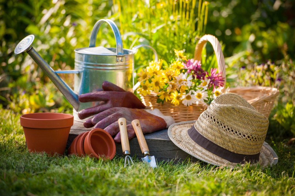 Indoor Gardening Gifts Unusual Ideas