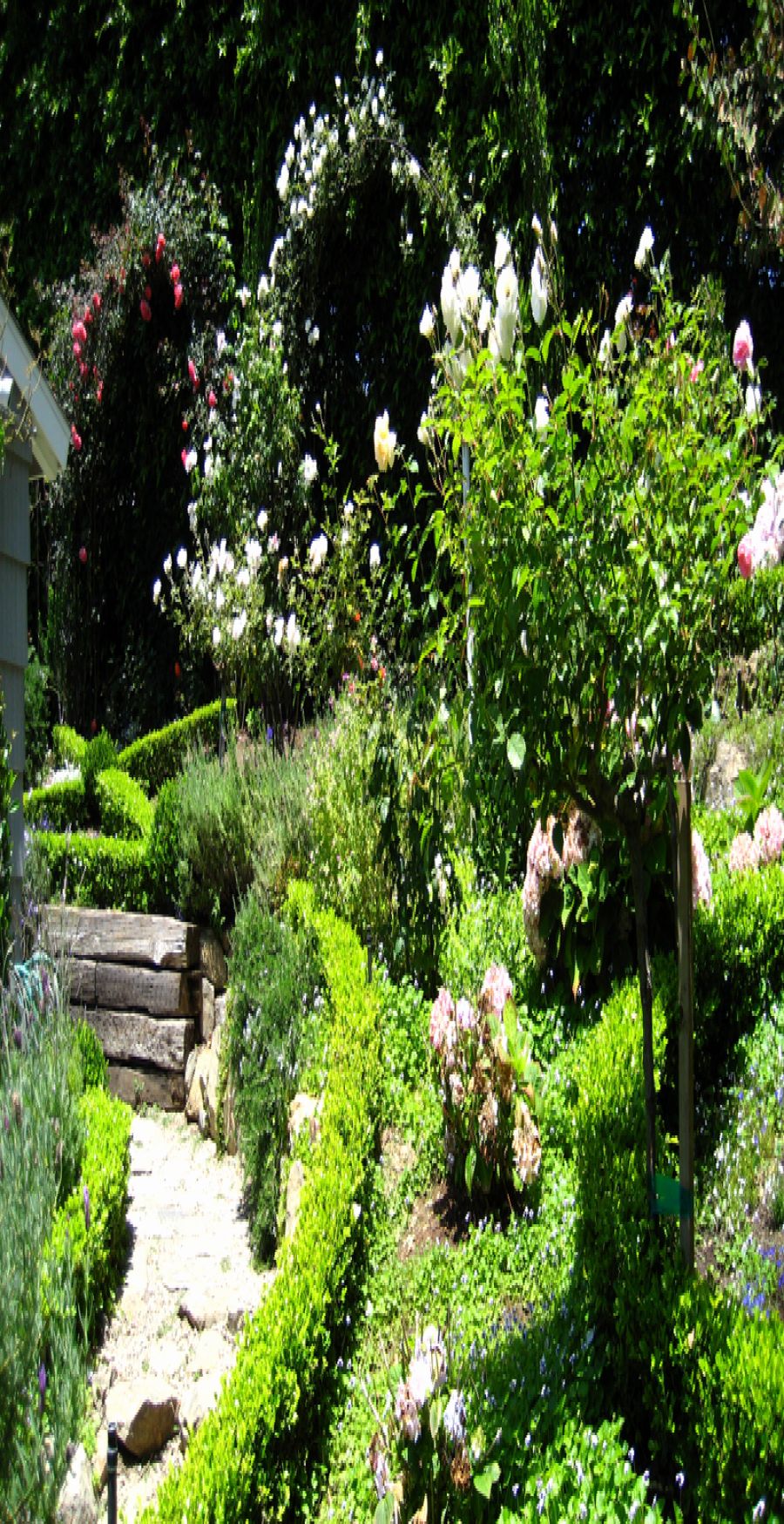 Beautiful Modern English Country Garden Design Ideas Page