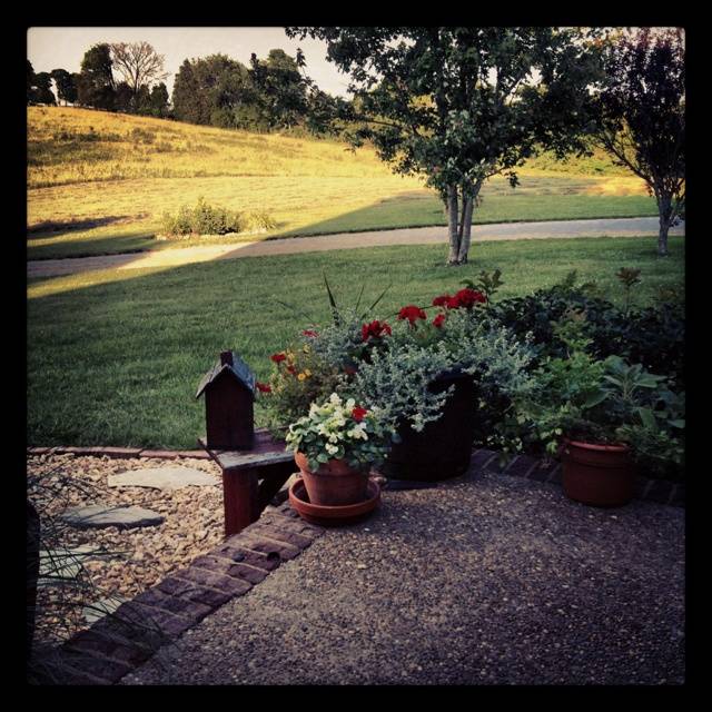 Pinterest Landscaping Ideas