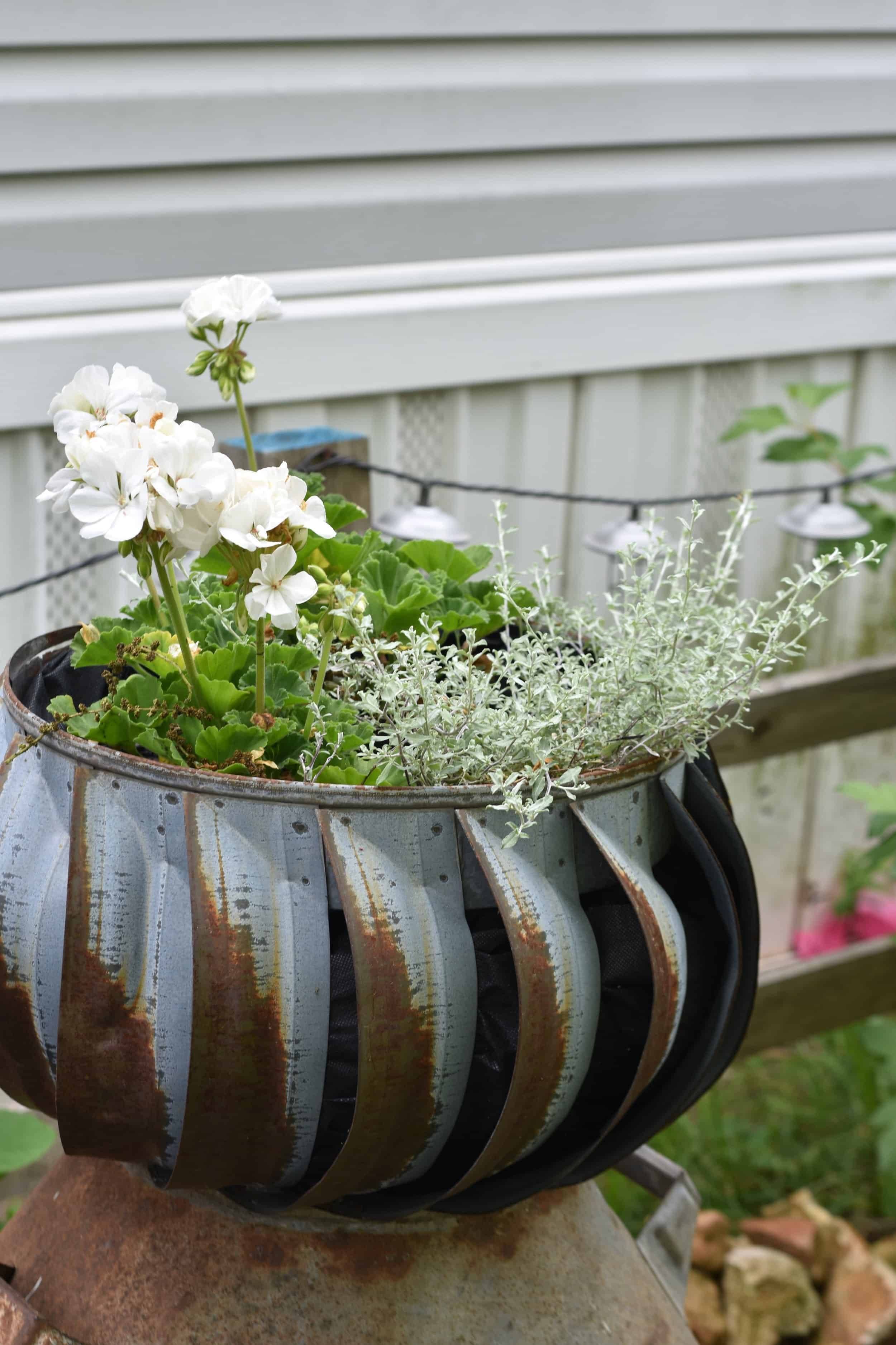 Galvanized Container Garden Container Gardening