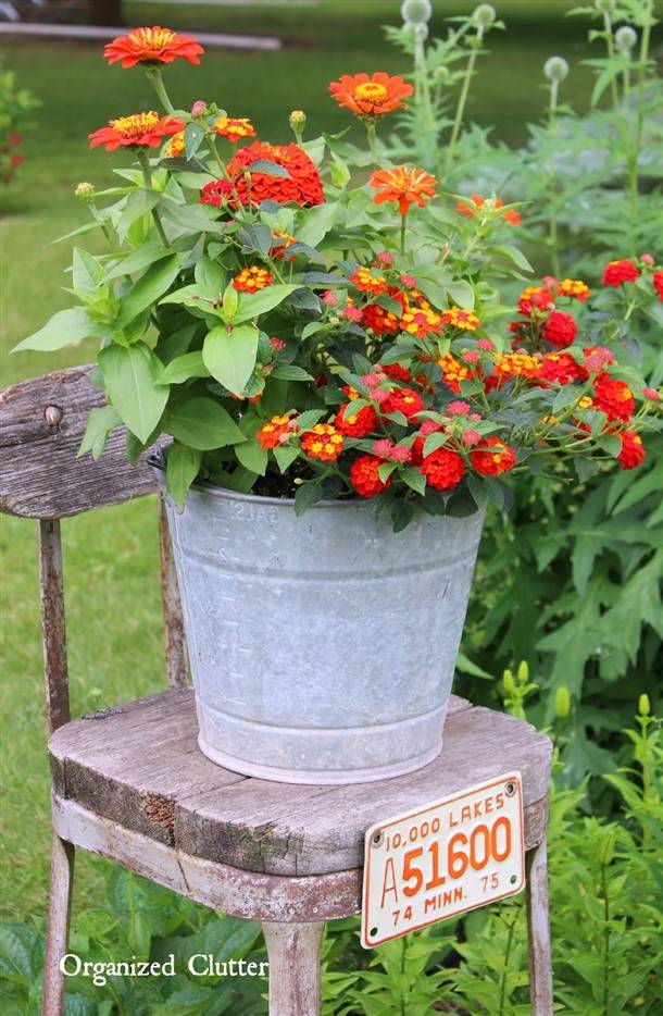 Container Gardening