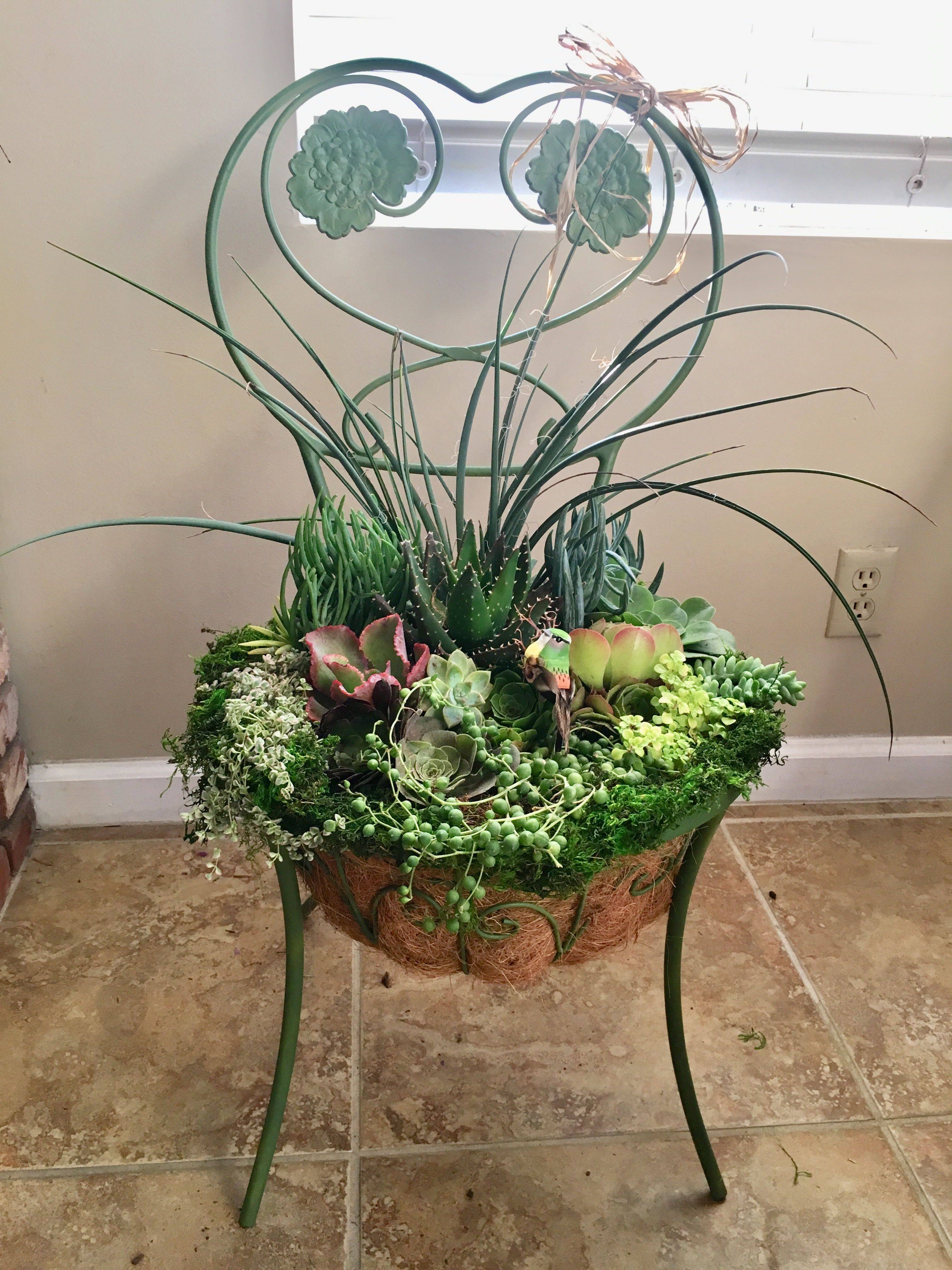 Diy Succulent Chair