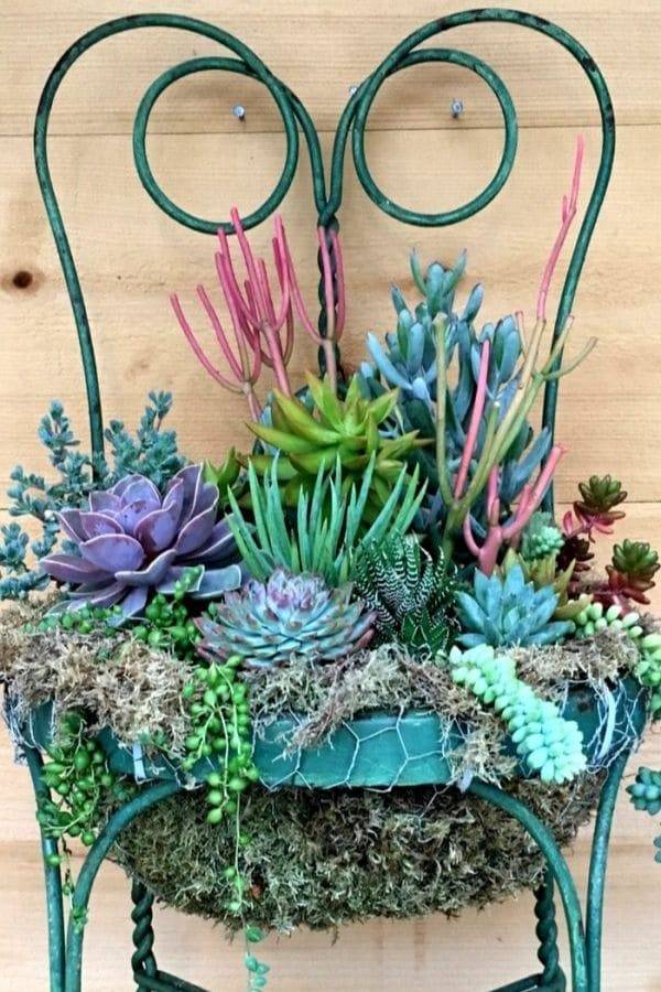 Diy Succulent Chair