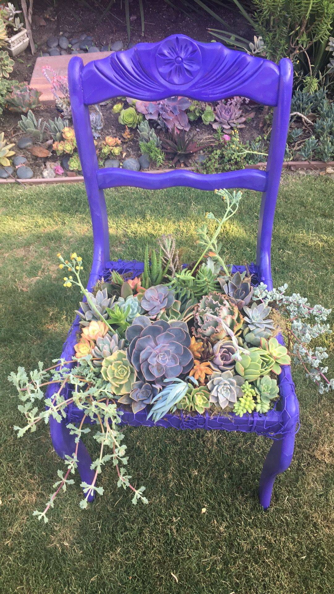 Diy Succulent Chair