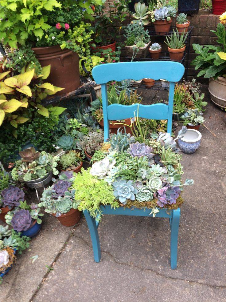 Diy Succulent Garden Art Ideas Empress