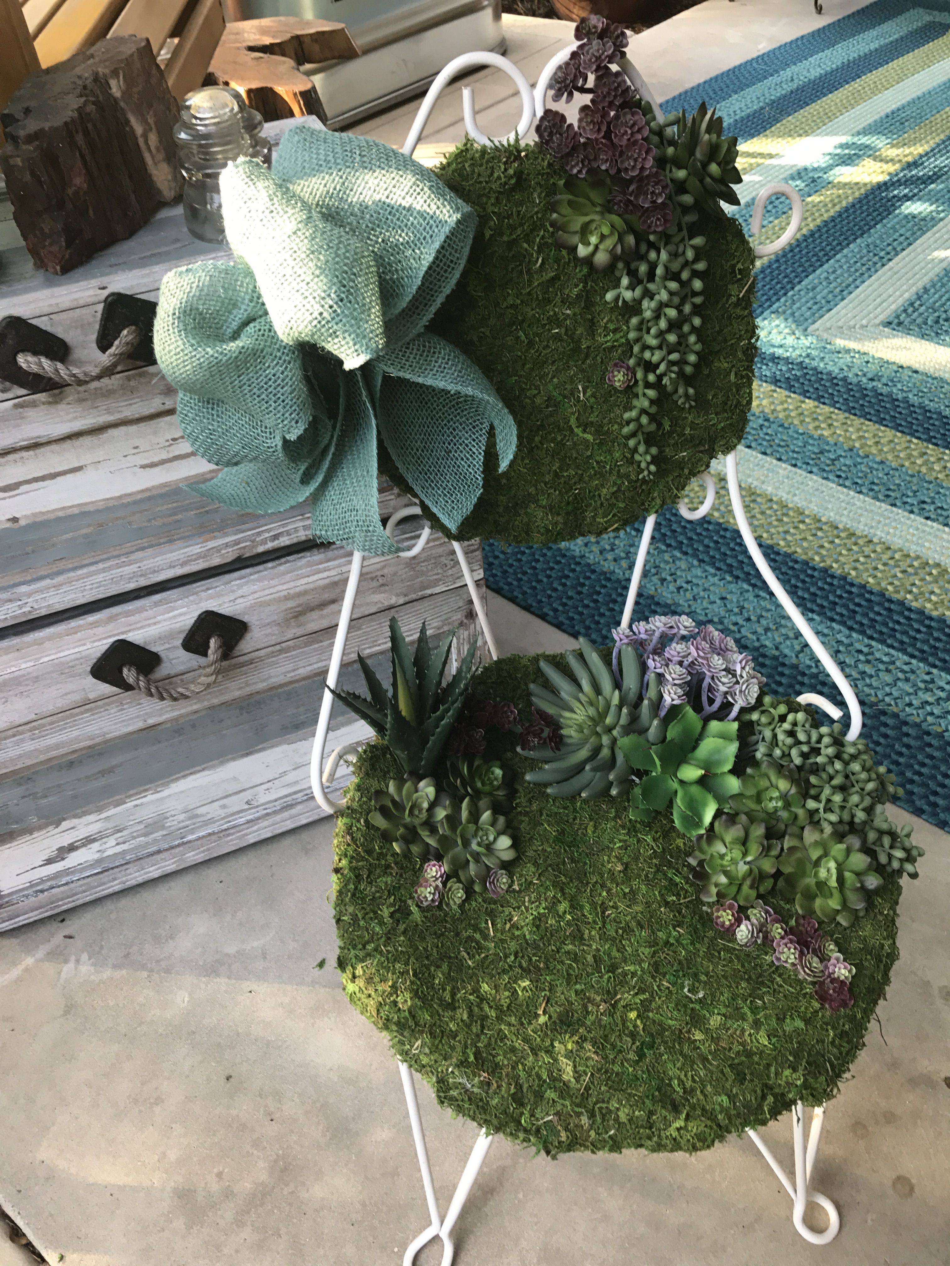 Succulents Garden Chairs