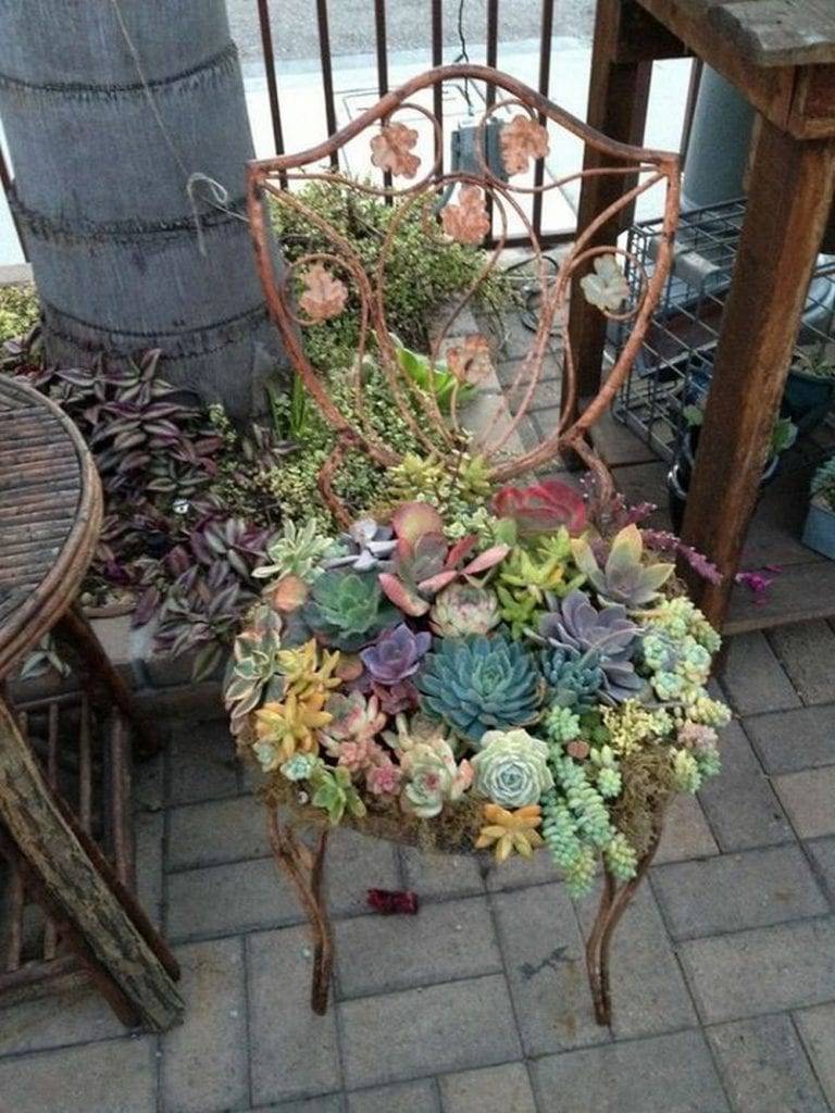 Charming Succulent Planters