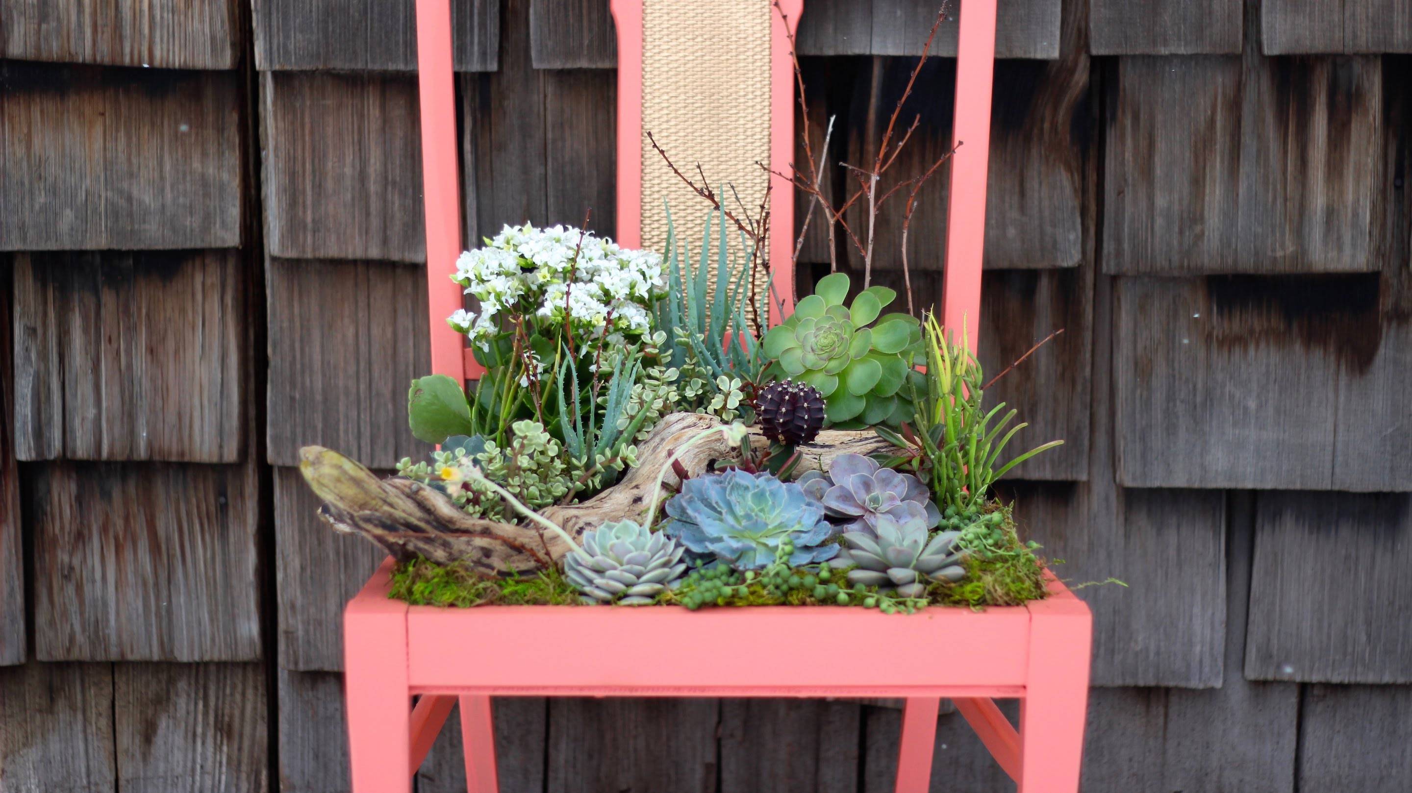 A Succulent Chair Planter Garden Therapy