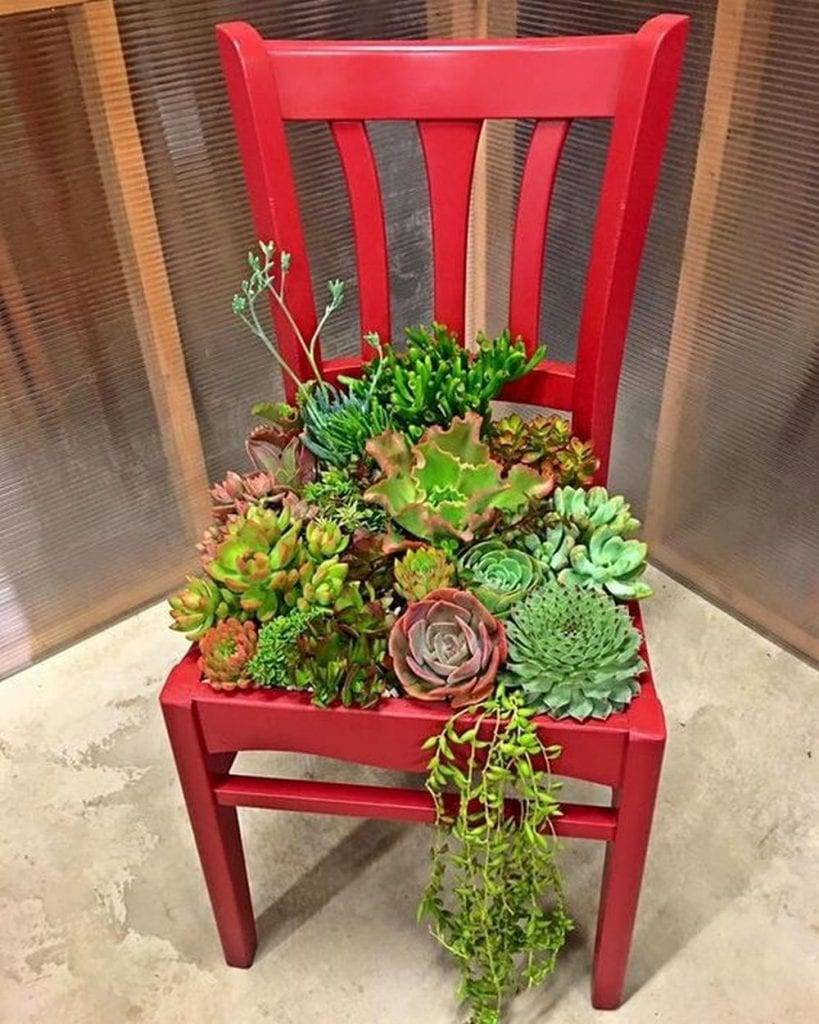 A Succulent Chair Planter Garden Therapy