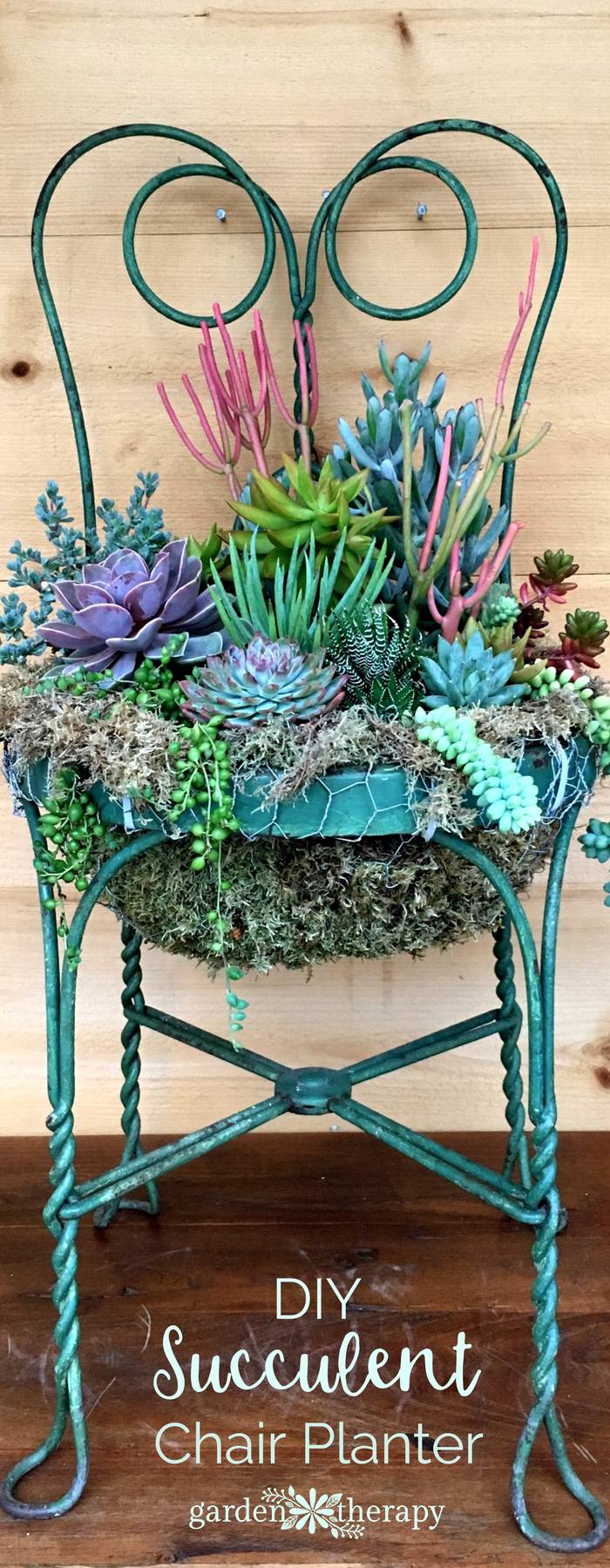Succulent Diy Planter Chair