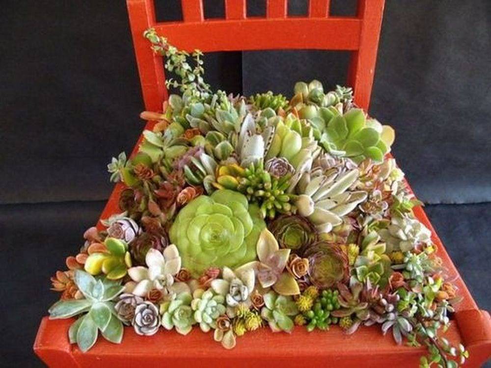 Succulent Garden Chair Garden Chairs
