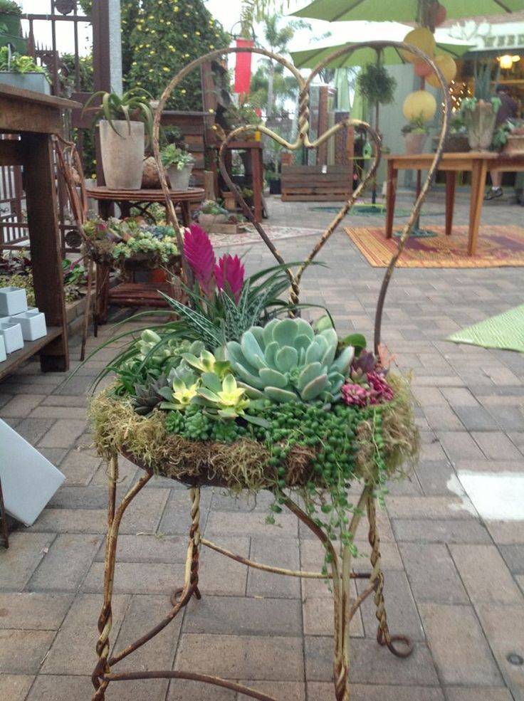 Succulent Garden Chair Succulents