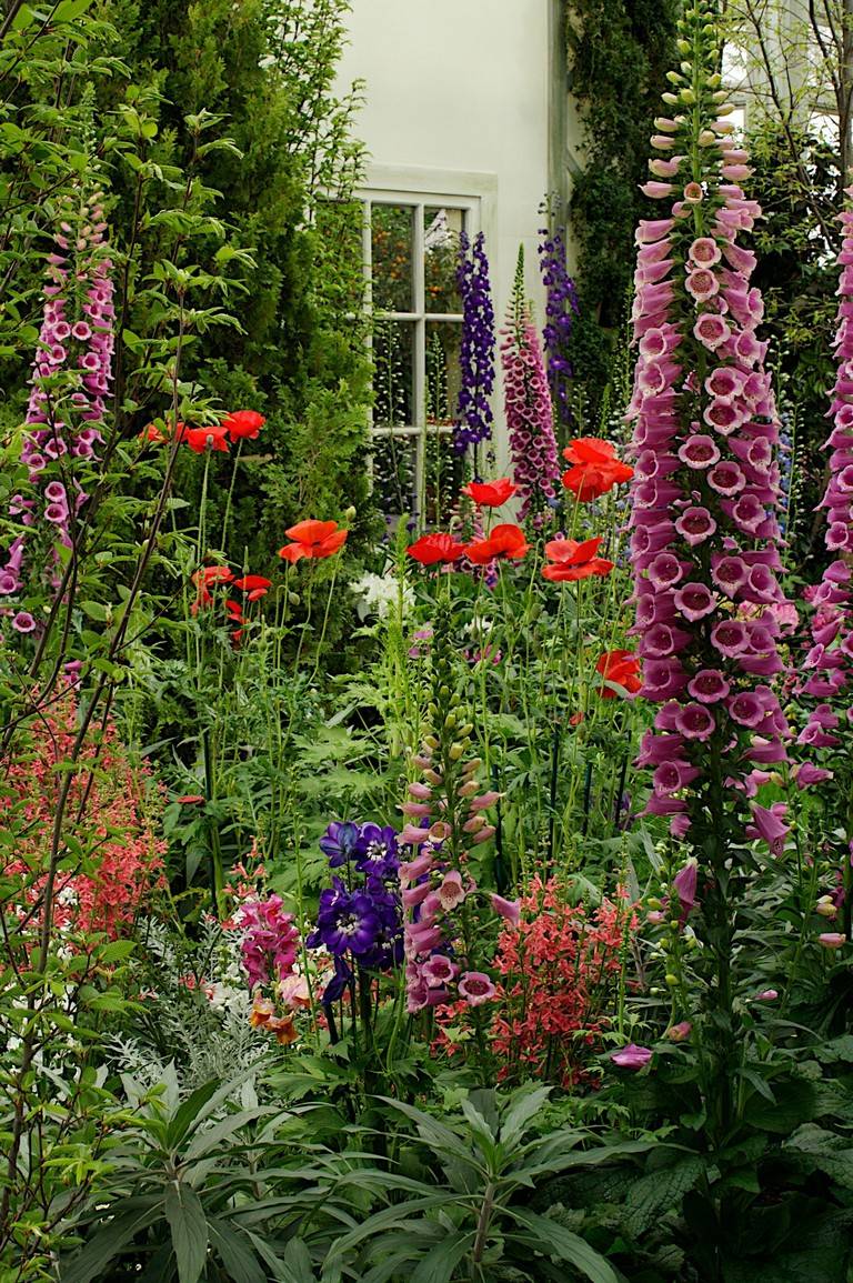 Lovely Cottage Garden Design Ideas