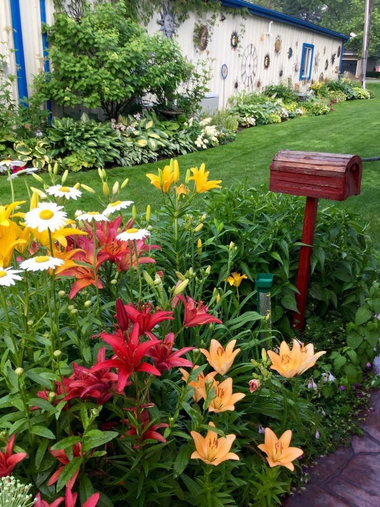Lovely Cottage Garden Design Ideas