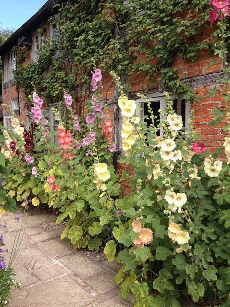 Lovely Cottage Garden Design Ideas
