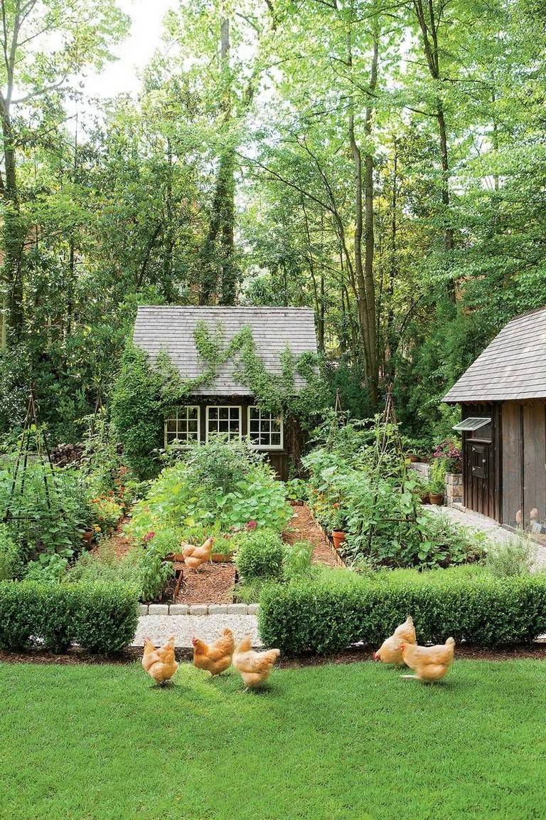 Lovely Cottage Garden Design Ideas