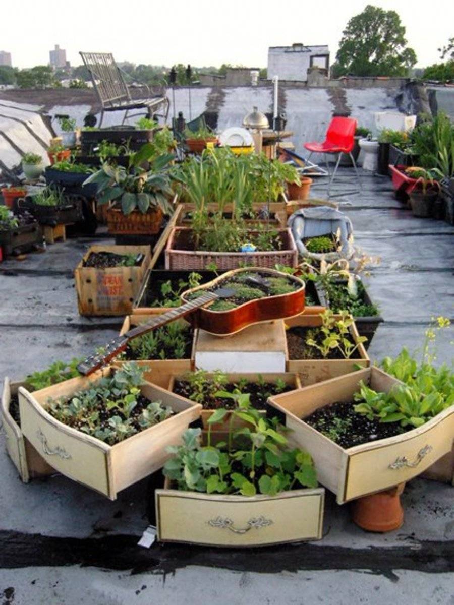 Your Garden Outdoor Space