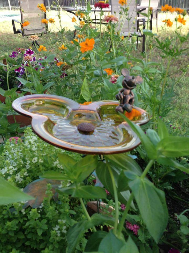 A Whimsical Disneyinspired Backyard Hgtv
