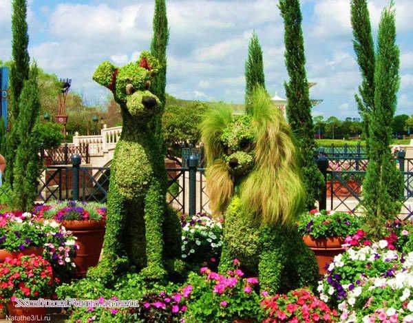 Pin On Gardens